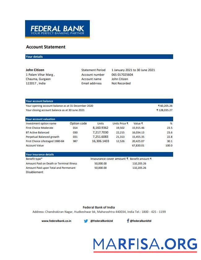 Realistic India Federal bank statement excel example